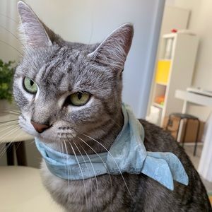 Meet your Posher, Lulu